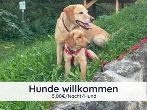 Der Fuchsbau - 3 Blockhäuser - ruhige Lage - 50m bis zum Wald - eingezäunter Garten