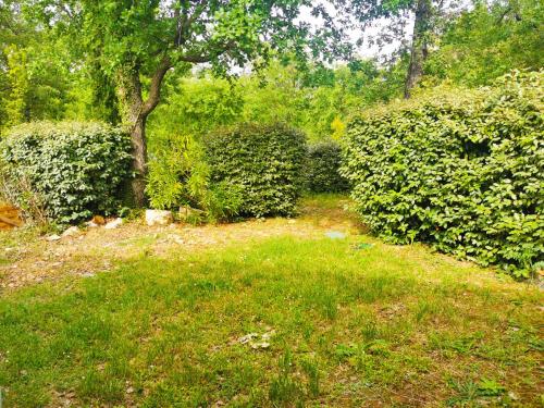 Domaine de Fayence