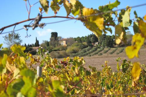 Domaine de la Bade