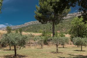 Maisons de vacances Domaine de la Galinière D7N La Galinière 13790 Châteauneuf-le-Rouge Provence-Alpes-Côte d\'Azur