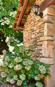 Maisons de vacances Domaine De La Licorne S/N La Beune Haute 24290 La Chapelle-Aubareil Aquitaine