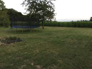 Domaine de la pallu