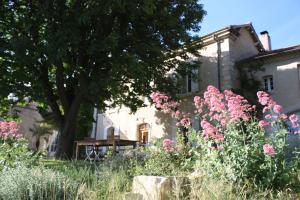 Maisons de vacances Domaine Fontaine 221 Rue de Notre Dame 84820 Visan Provence-Alpes-Côte d\'Azur