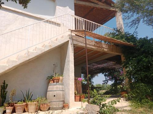 Domaine Limouzy