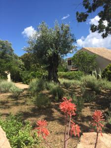 Domaine Valdaronu