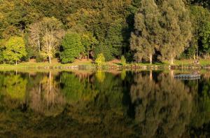 Eifel & See - Ferienhäuser am Waldsee Rieden/Eifel