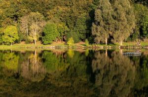 Maisons de vacances Eifel & See - Ferienhäuser am Waldsee Rieden/Eifel Waldsee Rieden 56745  Rieden Rhénanie-Palatinat