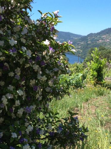 Family Secrets Douro