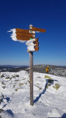Ferienbungalow Sonnenwald Bayerischer Wald
