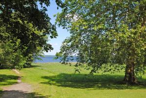 Ferienhaeuser mit Pool Kummerow SCHW 1010