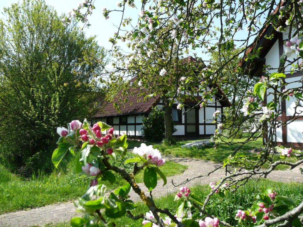 Maisons de vacances Ferienhaus Deichgraf 86 im Feriend Feriendorf Altes Land 21723 Bachenbrock