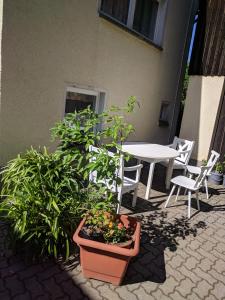 Ferienhaus Johanna & Ferienwohnung Thum