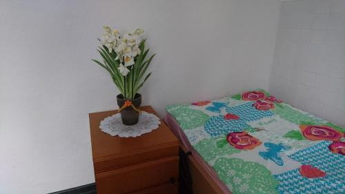 Ferienhaus Seerose