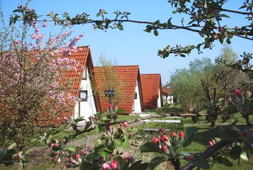 Ferienhaus Wigwam im Feriendorf Al