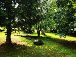 Ferienhäuschen Welschneudorf am Rückerhof