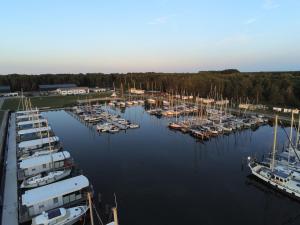 Ferienhäuser im Yachthafen mit Hund