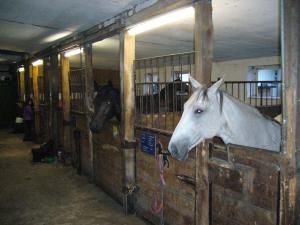 Ferienhof Drewes Ranch