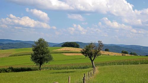 Ferienhof Knoll