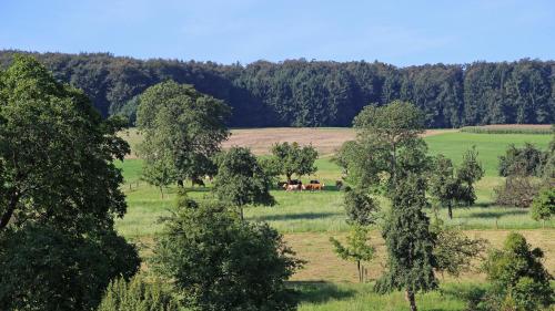 Ferienhof Knoll