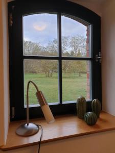 Maisons de vacances Ferienhof Mochowsee 16 Mochower Dorfstraße 15913 Schwielochsee Brandebourg