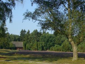 Maisons de vacances Ferienwohnungen Tewes Heuweg 30 29328 Müden Basse-Saxe