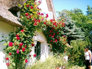 Maisons de vacances Gästehaus Andresen-Warft Zur Andresenwarft 5 (Bohmarnweg) 25881 Tating Schleswig-Holstein