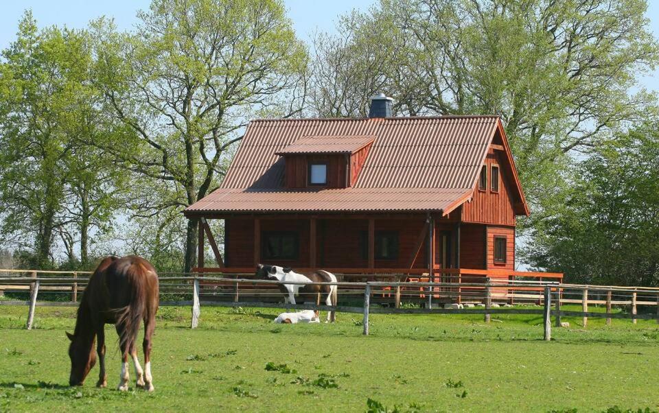 gemütliches Ferienhaus in der Natur 5 Heinkenstruck, 25767 Osterrade