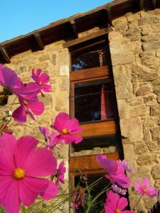 Maisons de vacances Gîte de Chapelèche Les Châtaigniers Chapelèche 07190 Gluiras Rhône-Alpes