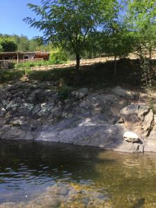 Maisons de vacances gite du devez des bruyéres 2485 - Route de Jaujac Brugeon - Le Devez des Bruyères 07380 Prades Rhône-Alpes