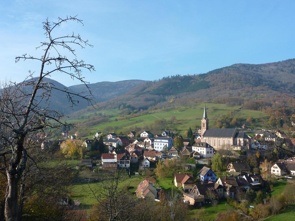 Maisons de vacances Gîte Schlitteur Et Sapiniere 3, rue beauregard 67220 Breitenbach