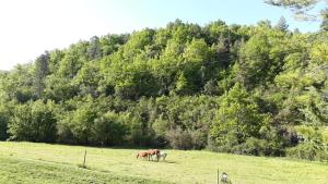 Gîtes du Domaine de Serre Long