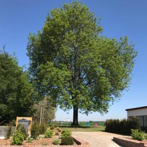 Gîtes du Frêne