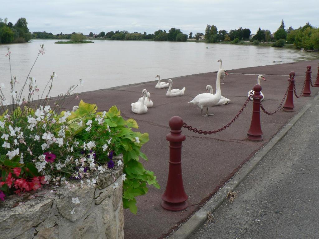 Gites Lacale face à la rivière La Cale, 33330 Saint-Émilion