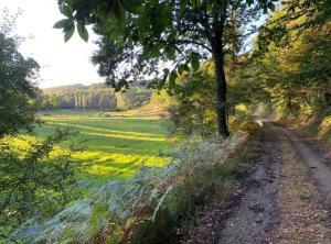 Gites Le Bisson