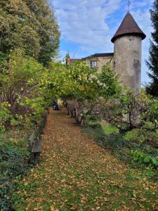 Maisons de vacances Gites Le Vieux Vinzelles Vinzelles 2 impasse des Châtaigniers 63530 Volvic Auvergne