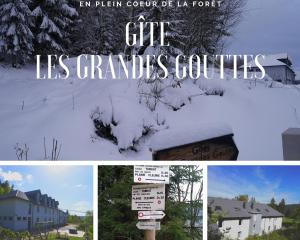 Maisons de vacances Gites les Grandes Gouttes JULIENRUPT 18 Route du Bourbet 88120 Le Syndicat Lorraine