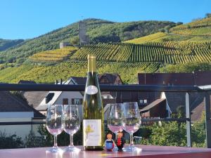 Gites Les Terrasses du Wineck