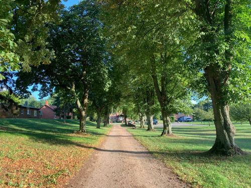 Gut Settin am See - Ferienhäuser