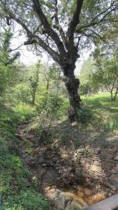 Hameau de la Suyère