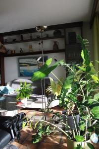 Haus mit großem Garten