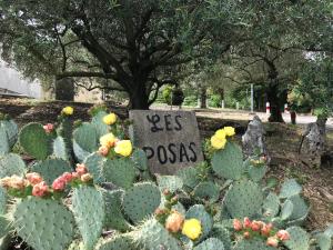 Hebergements des POSAS