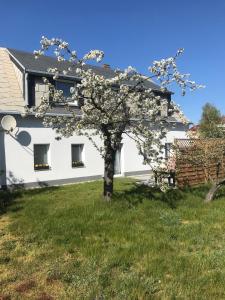 Maisons de vacances König Ferienhaus Badweg 15 01936 Königsbrück Saxe