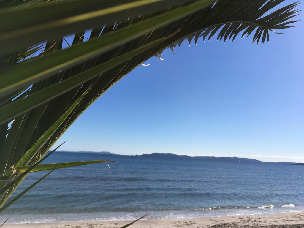 Maisons de vacances L Annexe des Sables 105-122 av de la pinede 83400 Hyères