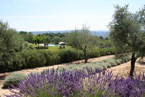 La Bastide des Amandiers