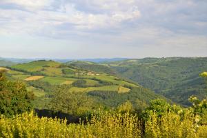 La Colline du Chat Perche
