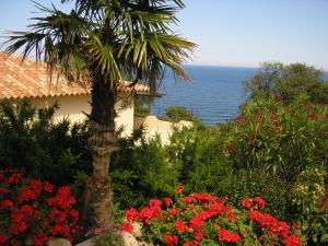 La Côte Bleue