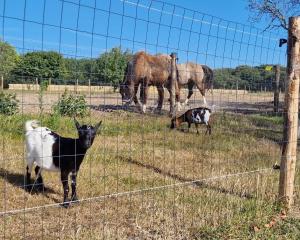 Maisons de vacances La Ferme de L'Etang Le Launay 22660 Trélévern Bretagne