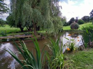 Maisons de vacances La Gasteboisiere La Gasteboisière 50520 Le Mesnil-Adelée Normandie