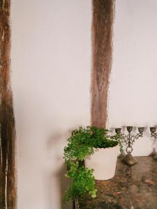 La Maison Pieuse