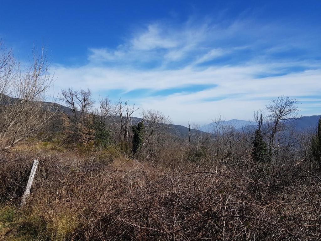 La Périole 11400 Laurabuc